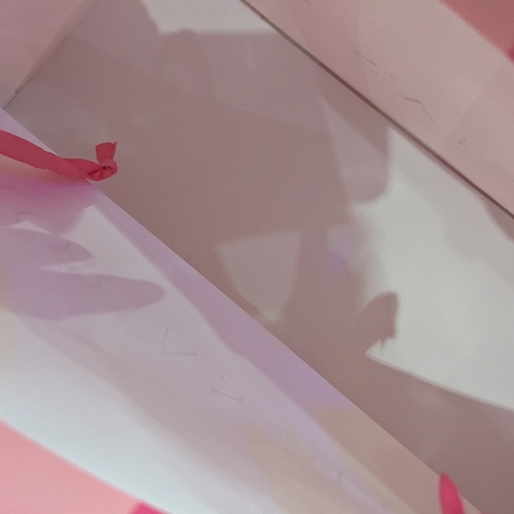 (5) Victoria's Secret empty Gift Bags - Picture 4 of 4